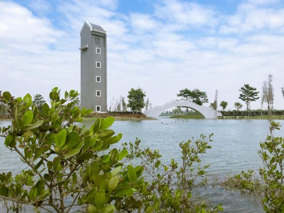 Zhong Mountain Wetland Park