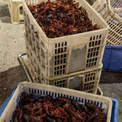 虾小龙老长沙龙虾馆(五一广场店) User Photo