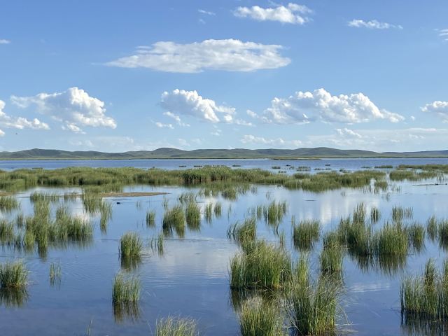 若爾蓋花湖生態旅遊區