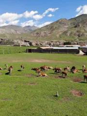 Qilian Deer Farm