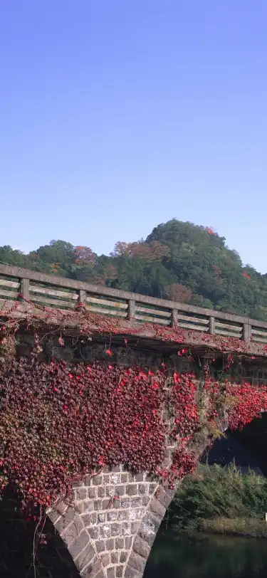 Hotels With Pools in Oita Prefecture, Japan