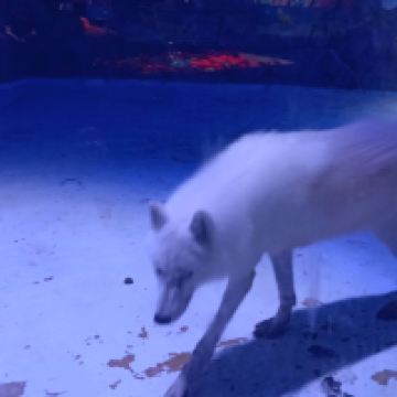 評論圖片 7
