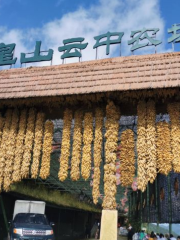 Jiuhuangshan Yunzhong Farm