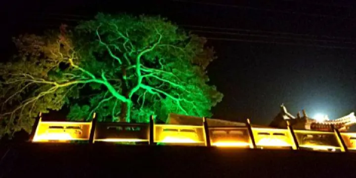 黃龍縣迎客松公園