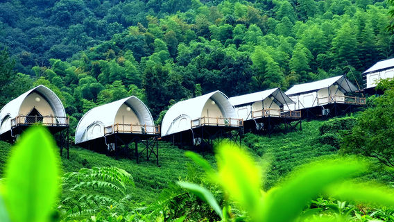 เห็นค่ายเต็นท์หรูในชาโน่