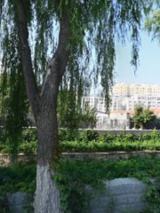 Sacrifice Site of Martyr Dong Cunrui