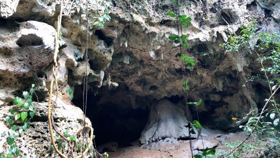 Kiwengwa Caves Office