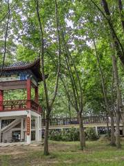 Zhenlei Mountain Wetland Park