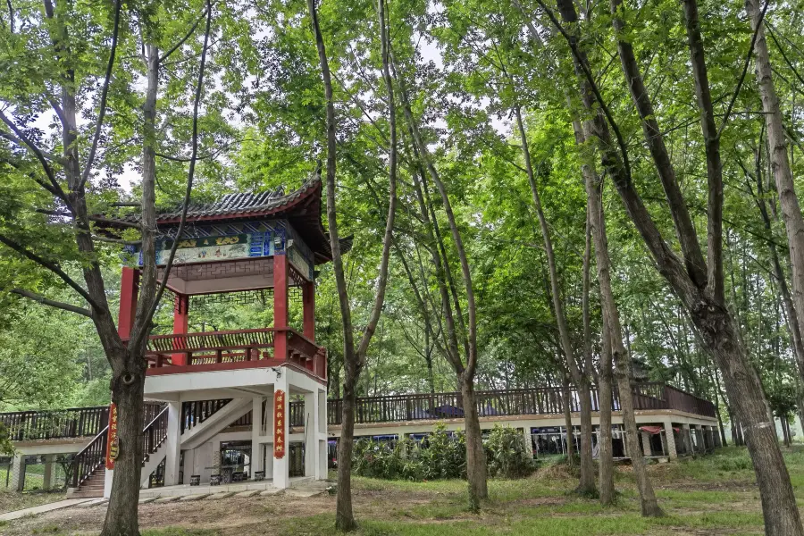 Zhenlei Mountain Wetland Park