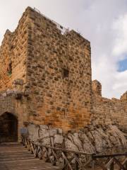 Forteresse d'Ajloun