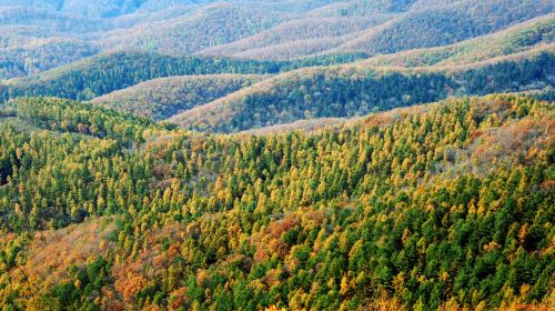 Chengzi Mountain Sceneic Area