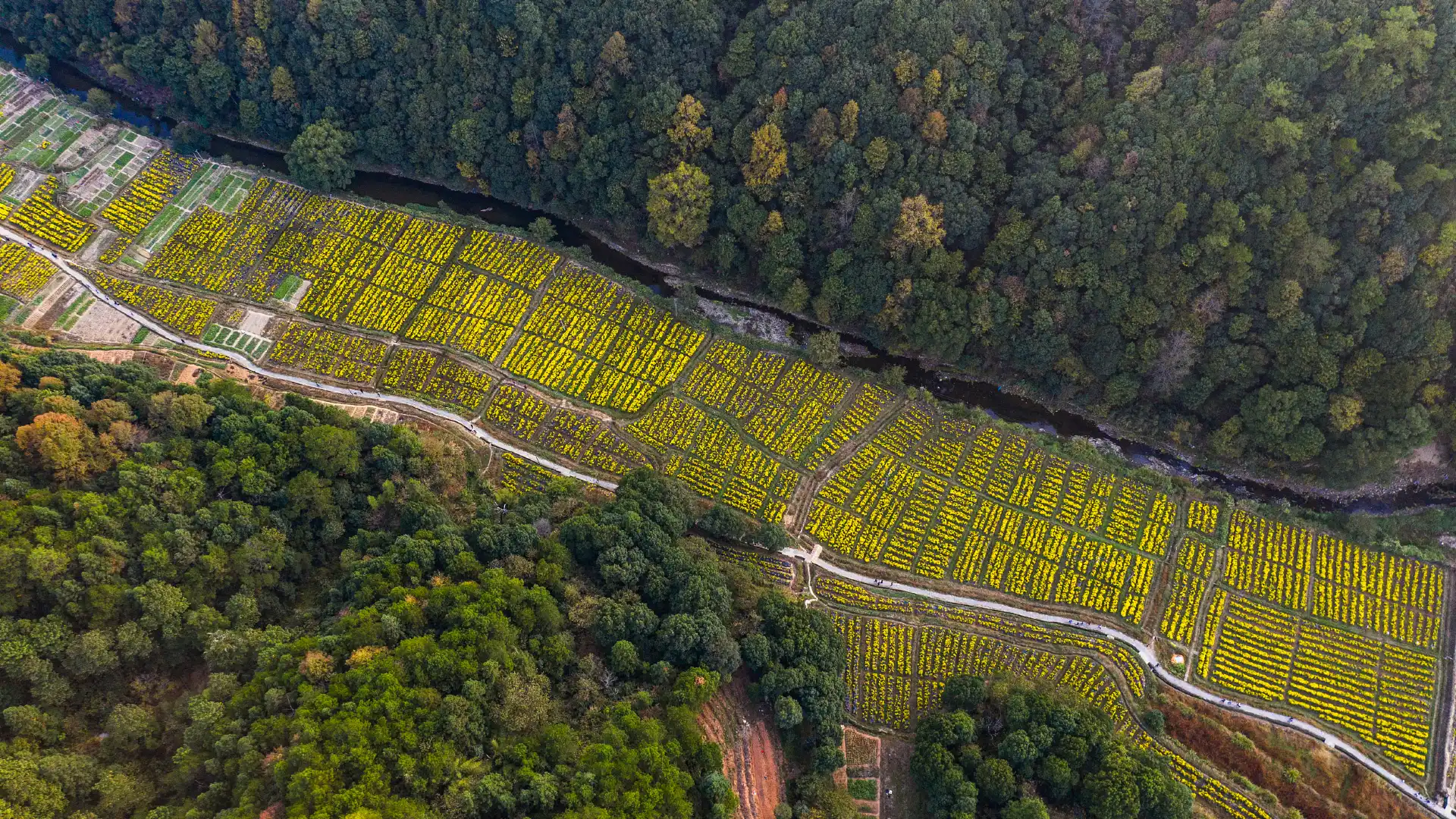 Hotels near Rape Flower Sea in Upper and Lower Xiaoqi Villages