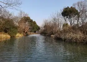 Wuchang Wetland