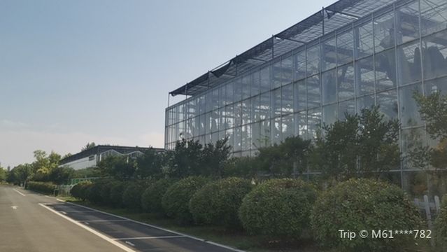 Lingbi Botanical Garden