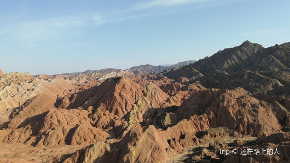 Monks Worship Buddha