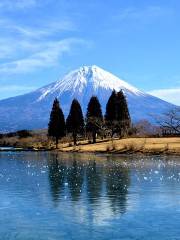 朝霧高原 もちや