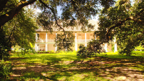 Whitney Plantation