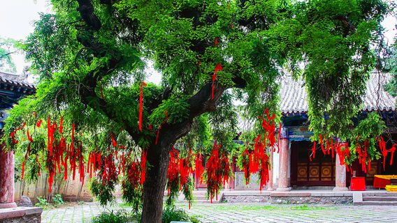 Tianshui
