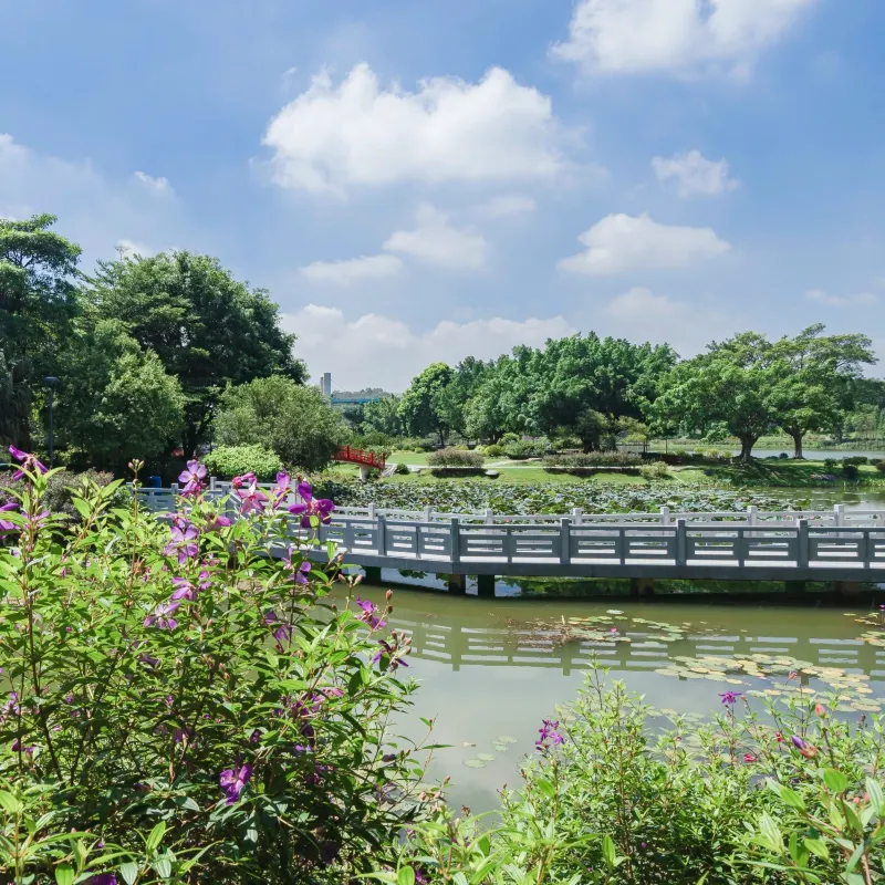 東莞植物園