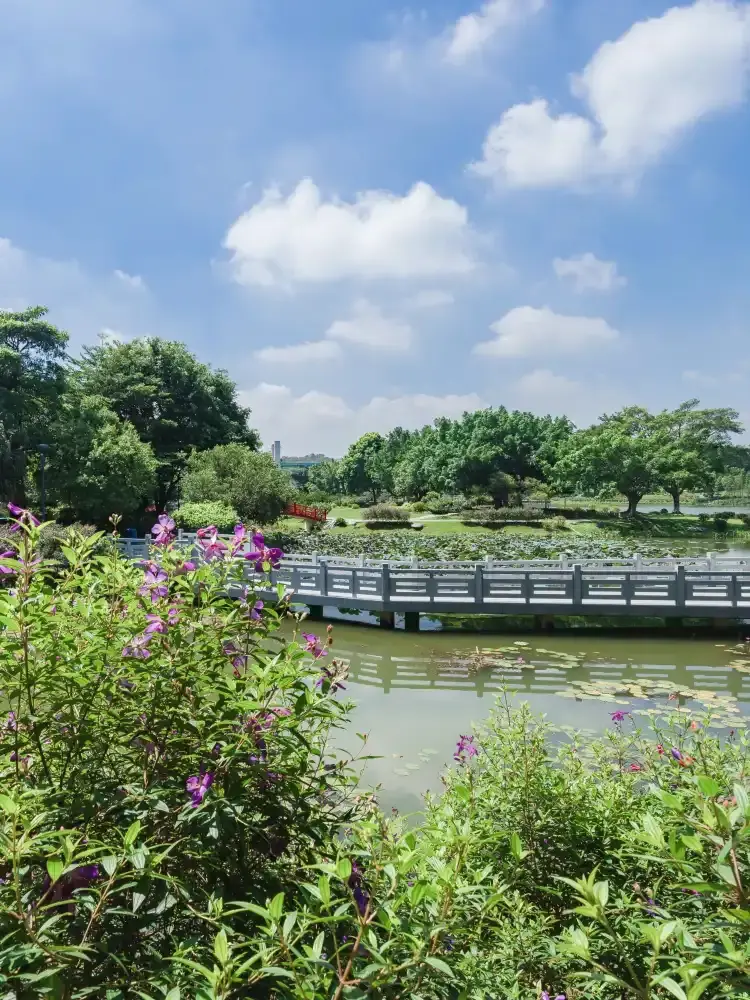 Hotel dekat Botanical Garden of Dongguan