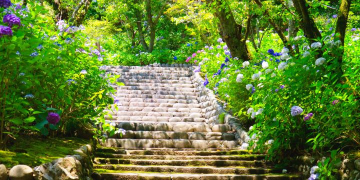 Hase-dera