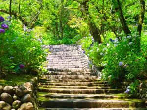 Hasedera Temple