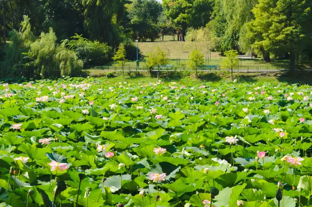 Big World Filming Location