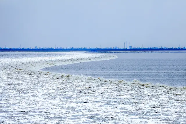 Tide Watching in Haining
