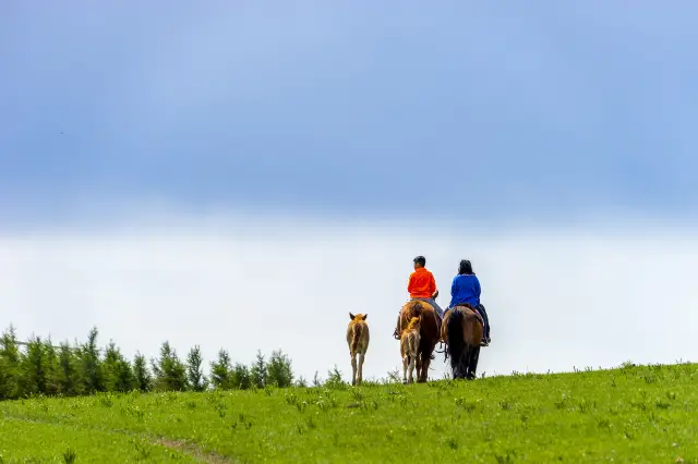 Horse Riding in Ulanqab