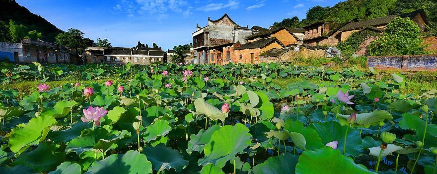 Xintian