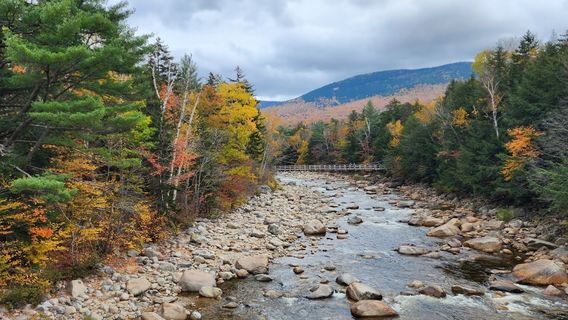 Lincoln Woods Trailhead