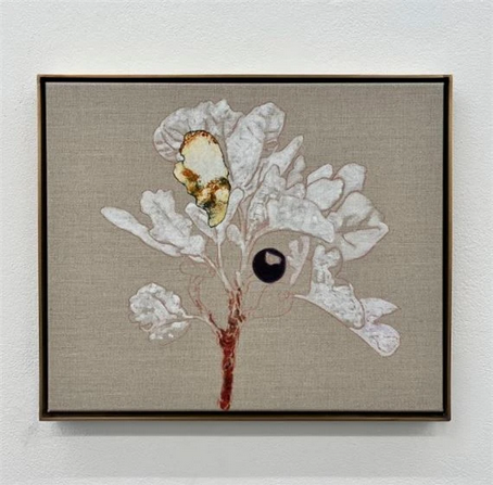 Benoit Platéus: Coriums | Brussels