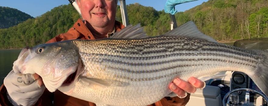 StriperXtreme Guide Service