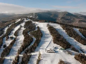 Bretton Woods