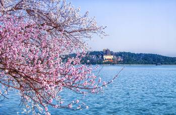 Popular Spring Outings in Beijing