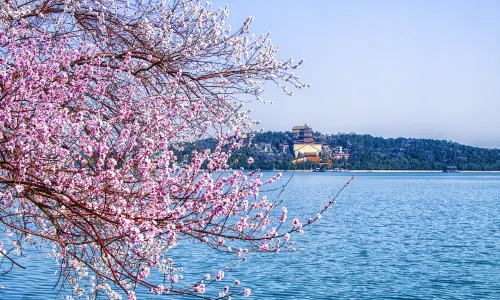 Summer Palace