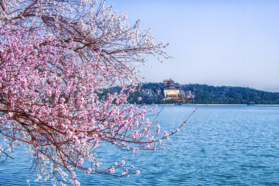 2_Summer Palace