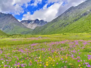Mount Siguniang