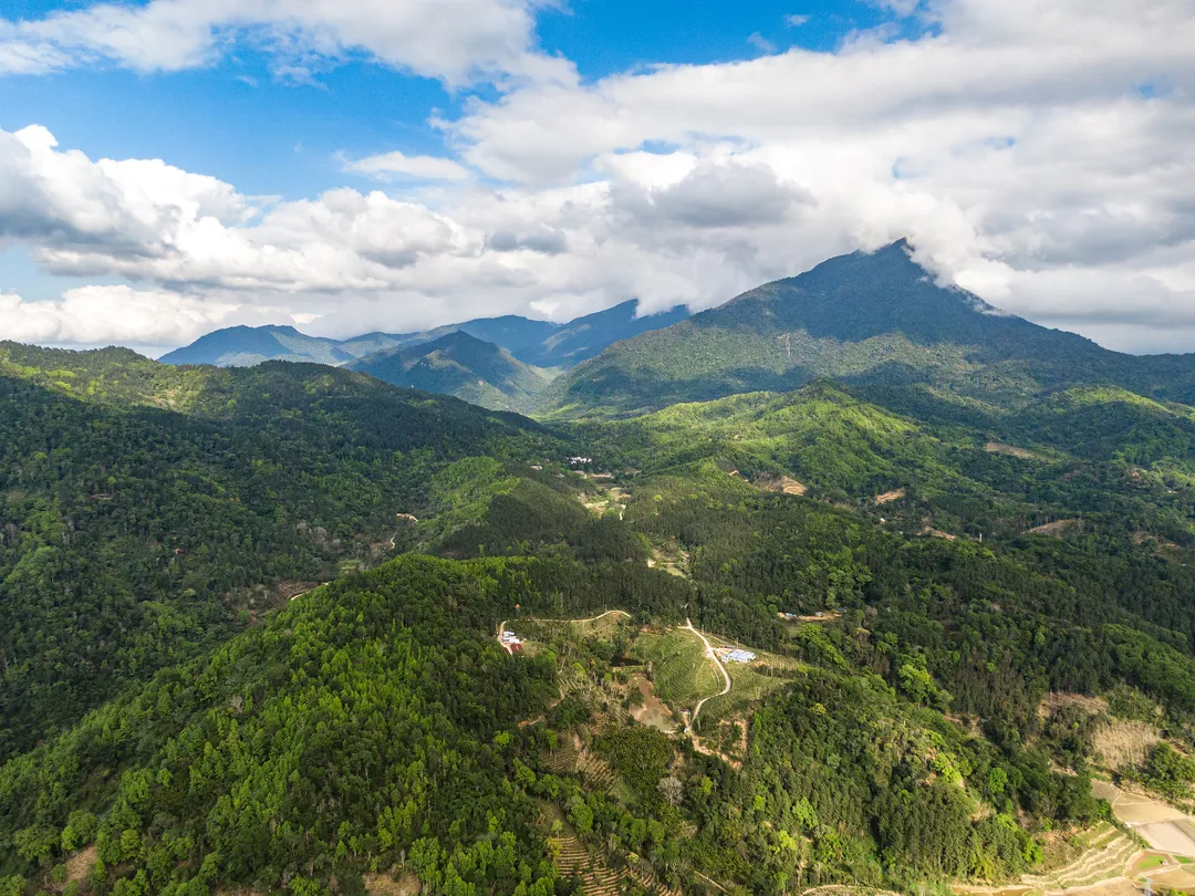 5_อุทยานแห่งชาติป่าฝนเขตร้อนไห่หนานภูเขาอู๋จื่อซาน