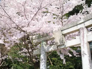 Dazaifu Tenmangu Shrine
