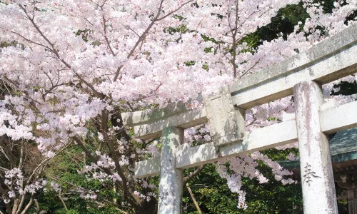 Dazaifu Tenmangu Shrine