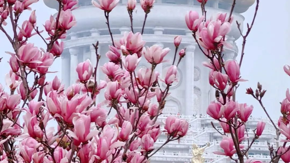 ต้าเซียงหลิน พาวจีเทียน