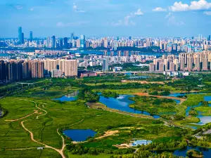 Yanghu Wet Land