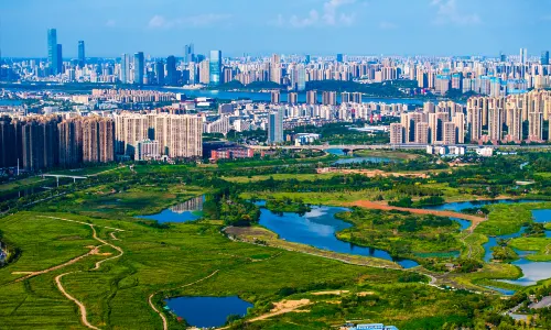 Yanghu Wet Land