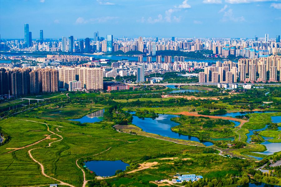 洋湖濕地公園