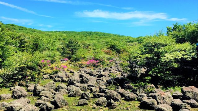 1100 Highland Ecological Swamp
