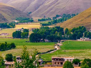 바메이전/팔미진