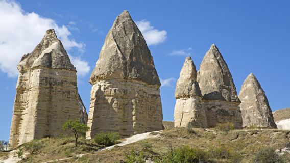Zemi-Tal