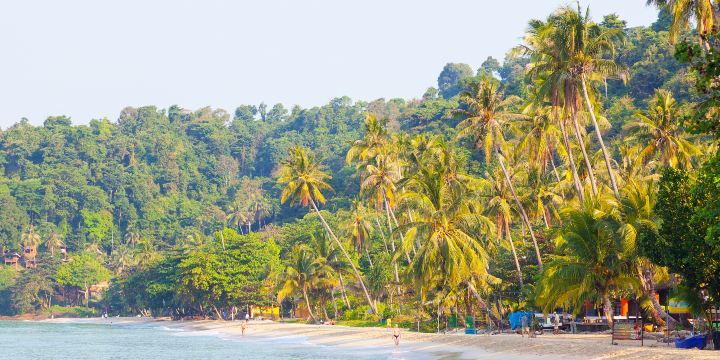 Lonely Beach