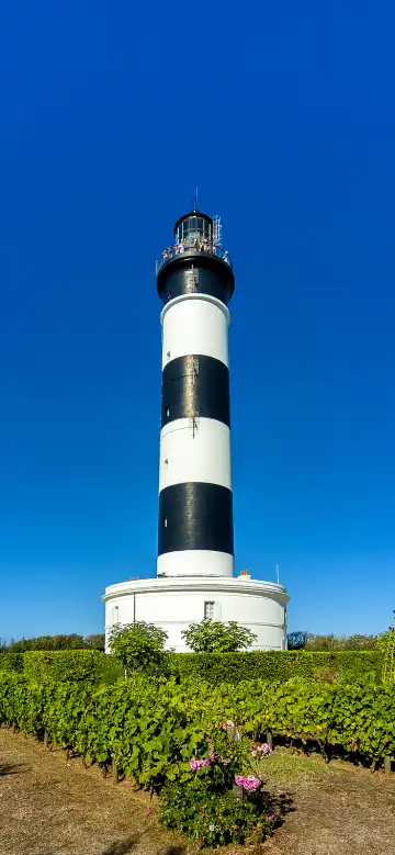 Hotels near Camping Barataud